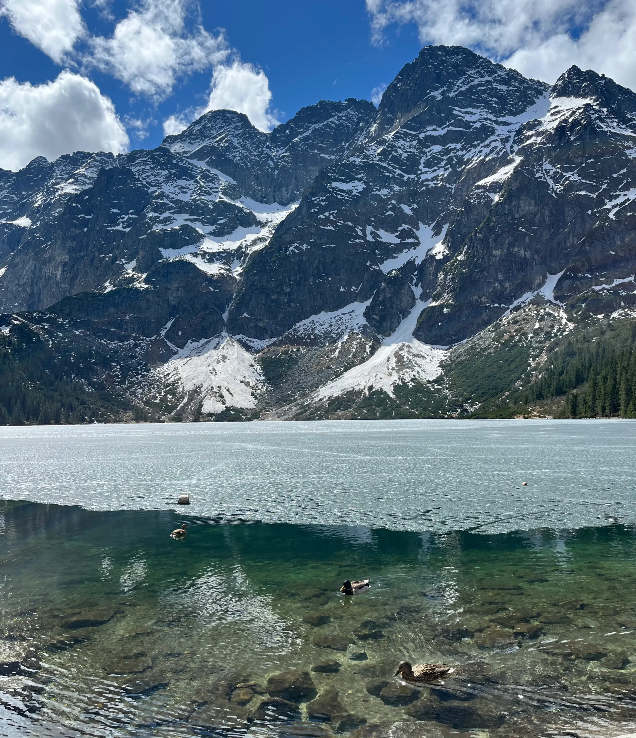 morskie oko lake morskie oko lake